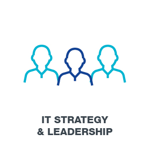 IT Strategy and Leadership 