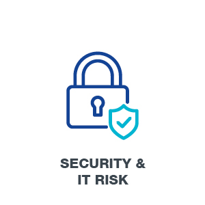 Security and IT Risk