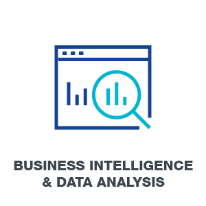Business Intelligence and Data Analysis