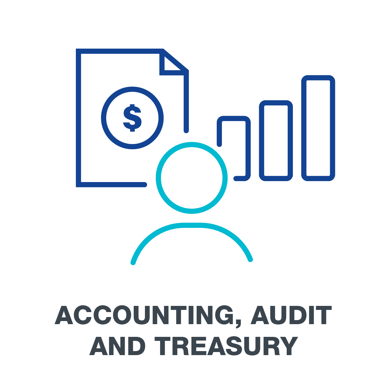 Accounting, Audit & Treasury