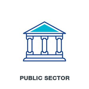 Public Sector Icon