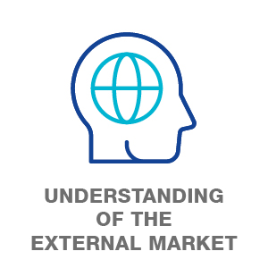 Understanding of the external market