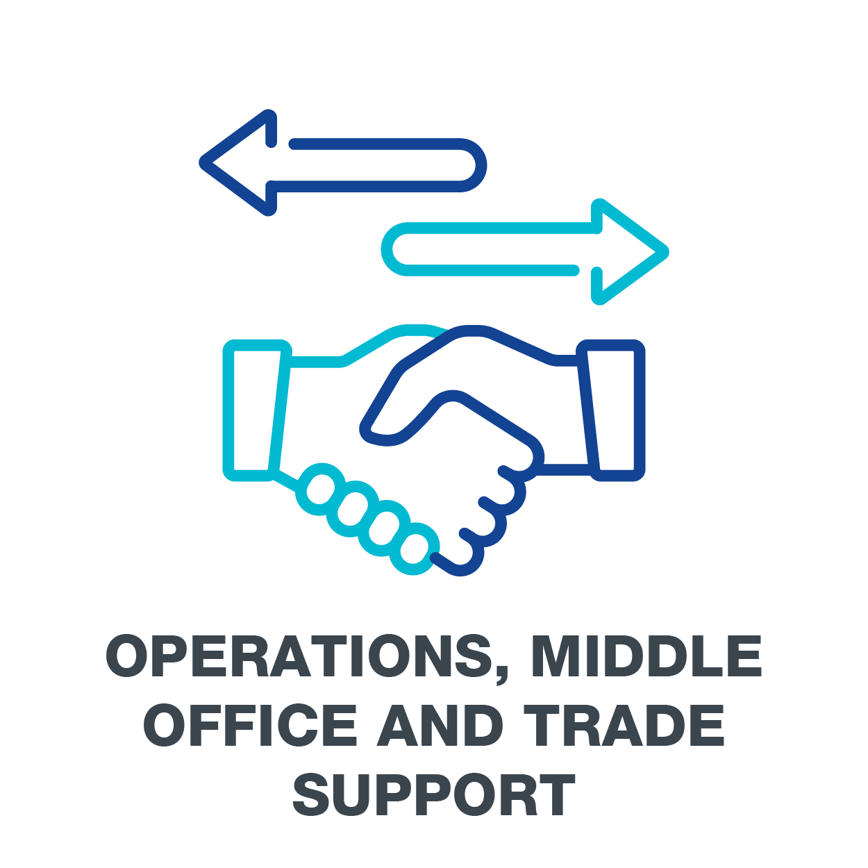 Operations, Middle Office & Trade Support Icon 