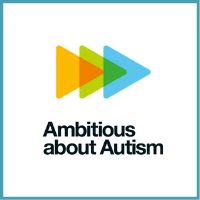 Ambitious about Autism