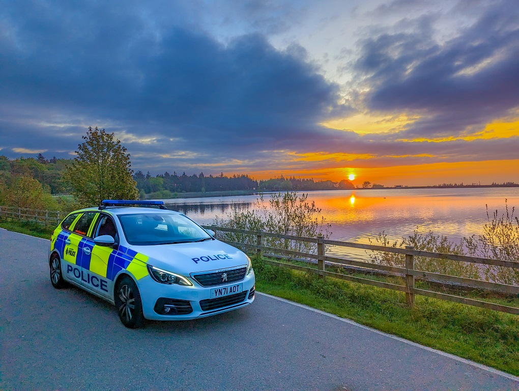 Police vehicle on a landscape