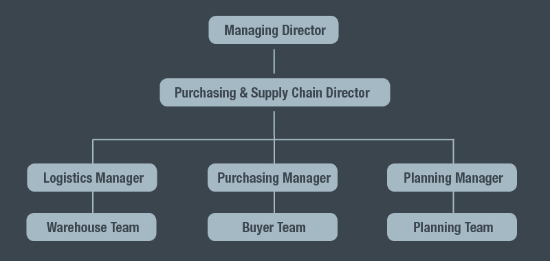 Structure your procurement and supply functions for success - diagram