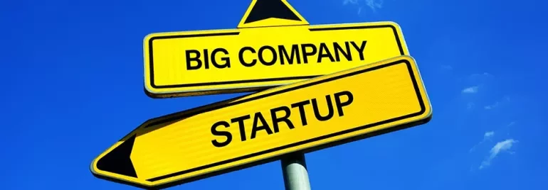 Startup vs. corporate: Which is right for you? | Michael Page