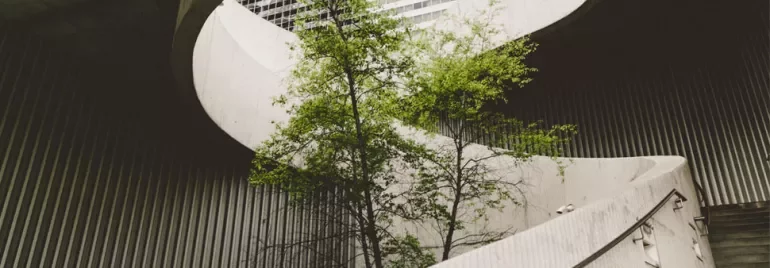 Tree growing amidst modern concrete architecture, illuminated by natural light.