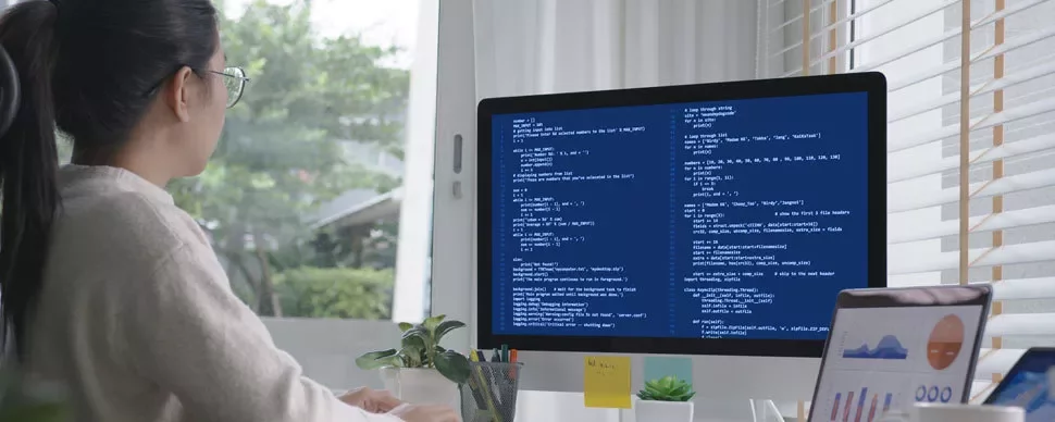 Person working on computer with code on screen, next to a window with plants.