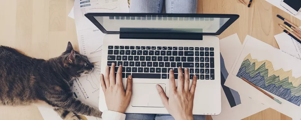 Person typing on a laptop with a cat lying nearby on scattered papers.