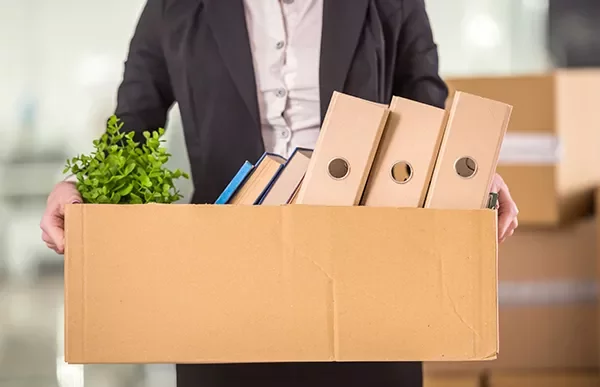 Person holding a cardboard box with binders, books, and a small plant.